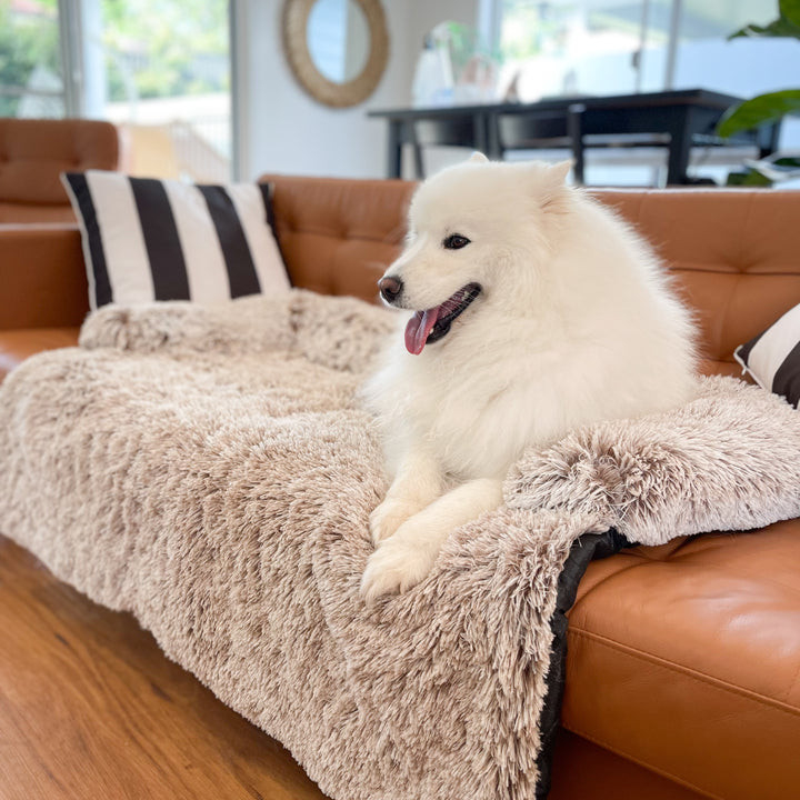 Pet Plush Sofa Bed Dog Calming Mat S