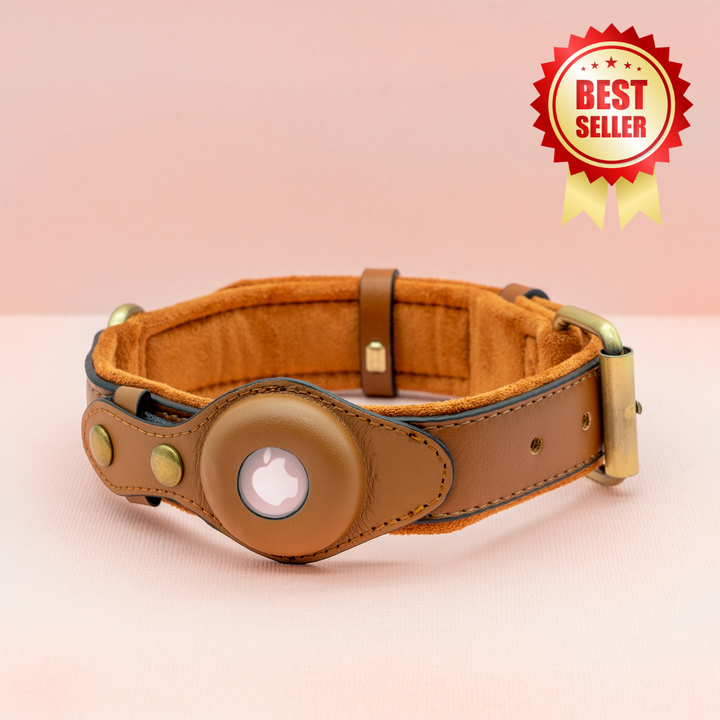 Premium AirTag Dog friendly collar